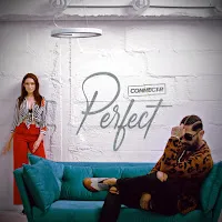 Connect-R — Perfect — обложка